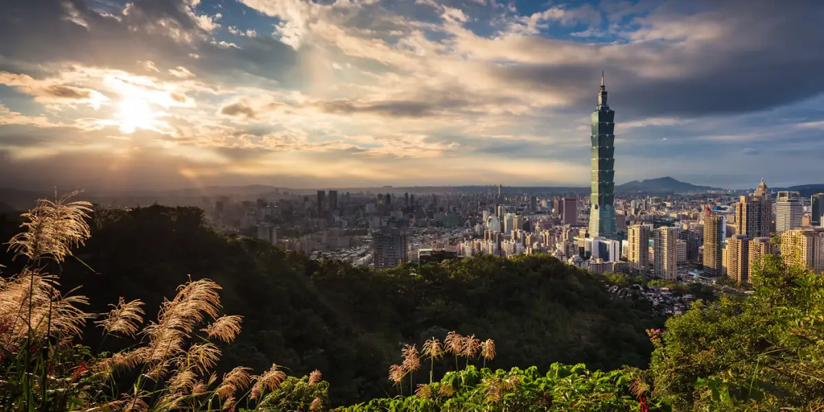 Taipei 101 rising above the Taipei skyline in low sun under broken cloud, seen from a forested hillside with feathery grass in the foreground