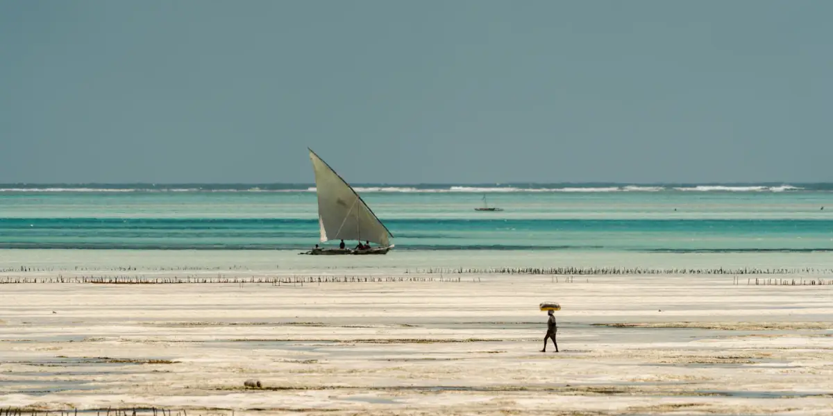 A dhow under sail off Jambiani on Zanzibar's south-east coast at low tide, with a woman carrying a load on her head across the sand flats and rows of wooden stakes in the shallows